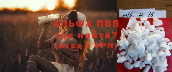 шишки Кодинск