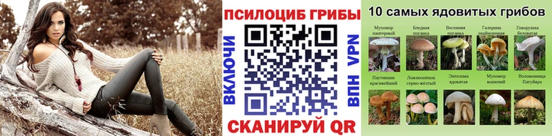 Псилоцибиновые грибы Magic Shrooms  Щёкино 
